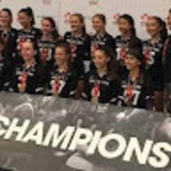 Meet your Posher, Rose - Picture 1 of 1